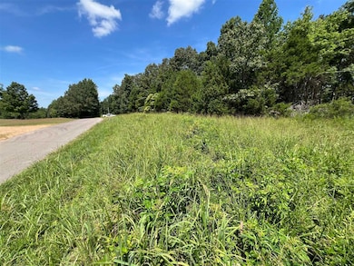 3688 E New Roe Rd, Adolphus, KY 42120 - photo 4