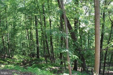 1507, 1505, 1503, 15 Summit Dr, Bull Run Mountain Estates, VA 20169 - photo 3