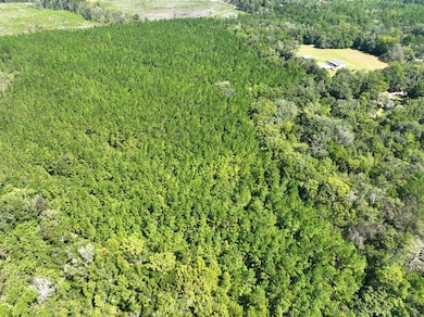 0 Buck Ln, Woodbine, GA 31569 - photo 6