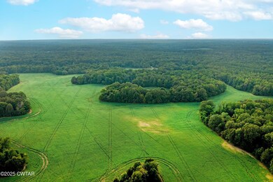 0 Vildo Rd, Bolivar, TN 38008 - photo 7