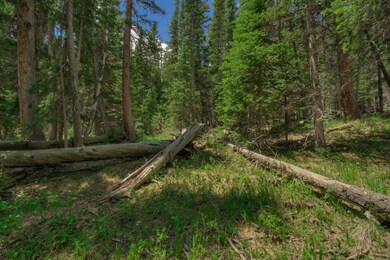 View of landscape with a forest view