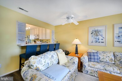 30398 Pavilion Dr unit 1705, Ocean View, DE 19970 - photo 3