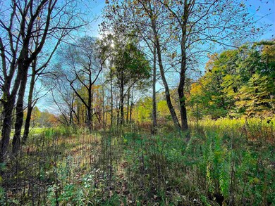 Lot 2 Blizzards Gate Rd, Harman, WV 26270 - photo 5