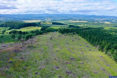 21230 Stone Rd, Sheridan, OR 97378 - photo 5