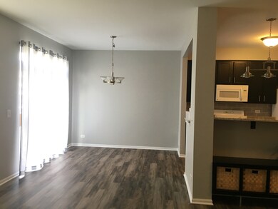 24020 W Walnut Cir, Plainfield, IL 60585 - photo 4