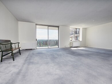 Imperial Towers unit 704, Chestnut Hill, MA 02467 - photo 3