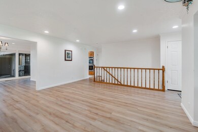 34-web-or-mls-DSC08516