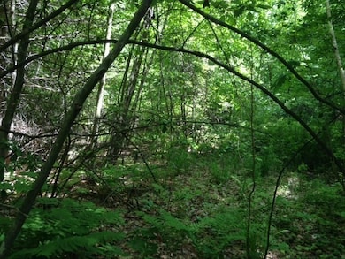 0 Elm St, Leominster, MA 01453 - photo 3