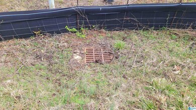 1085 Chancellors Ferry Loop unit 37, Harpersville, AL 35078 - photo 7