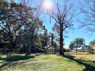 Backyard view