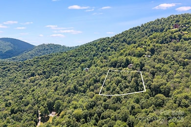 16 Mountain Gait Dr unit 16, Mars Hill, NC 28754 - photo 4