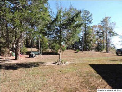 4380 County Road 329, Wedowee, AL 36278 - photo 3