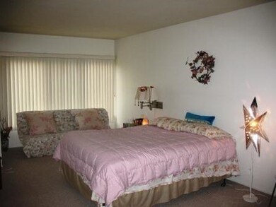 Master Bedroom w/Large Walk-in Closet