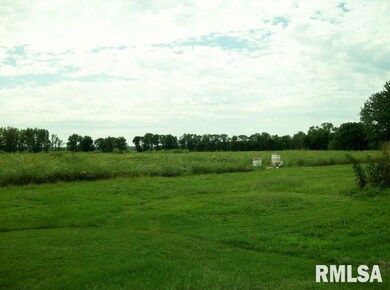 29260 Ropp Rd, Geneseo, IL 61254 - photo 3