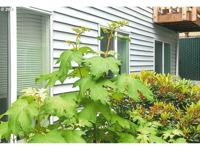 217 NE 146th Ave unit 26, Portland, OR 97230 - photo 5