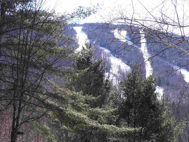 35-1 Winter Way unit 1, Lincoln, NH 03251 - photo 4