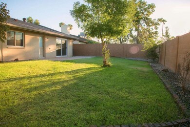 Backyard-1