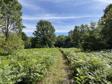 IMG_6