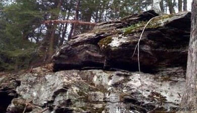 00 W Saugerties Woodstock Rd, Woodstock, NY 12498 - photo 4