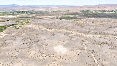 0 0 Lewis unit 2669833, Overton, NV 89040 - photo 7