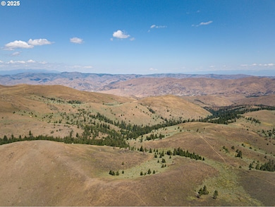 0 Clarks Creek Rd, Bridgeport, OR 97819 - photo 4