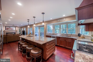 12113 Blue Flag Way, Columbia, MD 21044 - photo 6