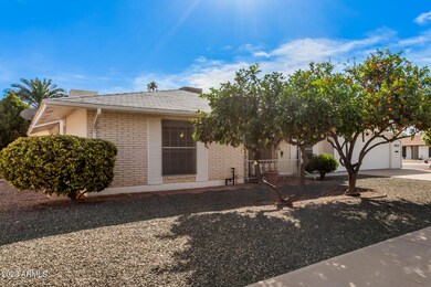 10215 W Cinnebar Ave, Sun City, AZ 85351 - photo 4