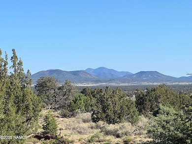 8755 S Rim Ranch Rd, Valle, AZ 86046 - photo 2