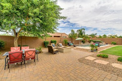 Backyard Oasis!