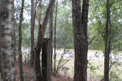 IMG_2173 (1)