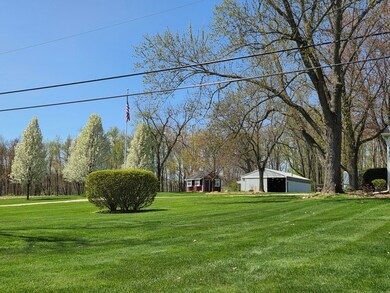 Tree-lined Drive