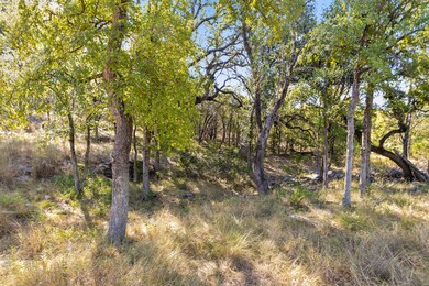 1301 Rm 2147, Marble Falls, TX 78654 - photo 7