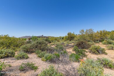 Nearly Flat Lot Covey Trail