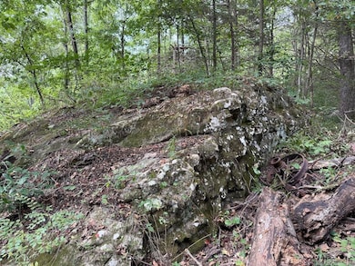 Tract 3/4 Terrapin Rd S, Harrison, AR 72601 - photo 4