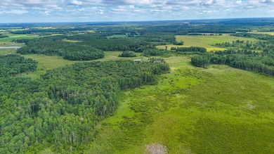TBD Timberlane Rd, Staples, MN 56479 - photo 5