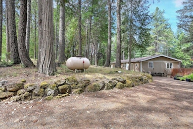 8914 Idlewood Cir, Forbestown, CA 95941 - photo 4