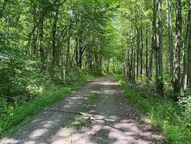 00 Ellisburg Rd, Genesee, PA 16923 - photo 6