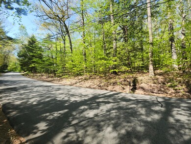 Lot #006 Trickey Pond Rd, Naples, ME 04055 - photo 5