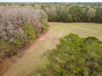 0 Jack Forrester Rd, Mantee, MS 39751 - photo 5