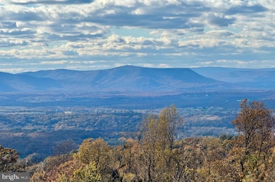 1 Mosby Dr, Linden, VA 22642 - photo 6