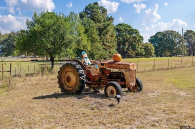 10950 Castleberry St, Brownsboro, TX 75756 - photo 3