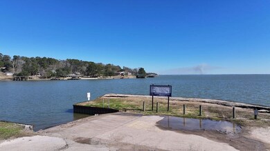 0 P unit 4 - Tbd Us 190, Point Blank, TX 77364 - photo 7