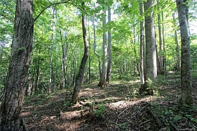 48 Shenandoah Rd unit 48, Lake Lure, NC 28746 - photo 3