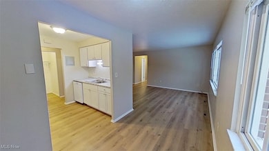 24600 Euclid Ave unit 101, Euclid, OH 44117 - photo 4