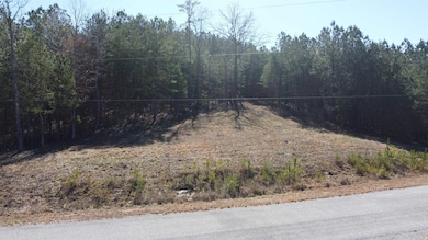 Lot 10 Highland Shr Subdivision, Jasper, AL 35503 - photo 3