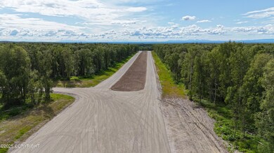 Airstrip Looking South
