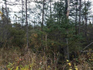 0 Wilson School Rd, Tomahawk, WI 99999 - photo 3