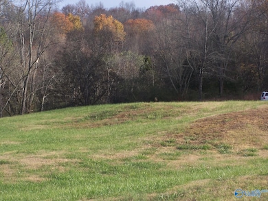 2176 U S Highway 31, Pulaski, TN 38478 - photo 6