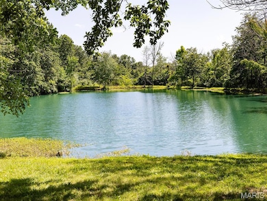 14816 Highway Uu, Bowling Green, MO 63334 - photo 5