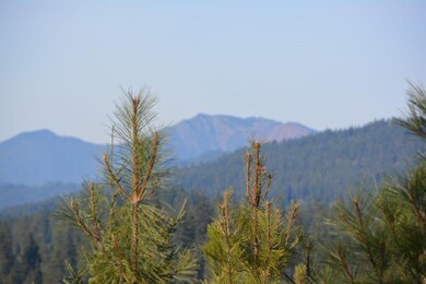 221 Big Hill Dr, Cle Elum, WA 98922 - photo 2